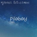 필라베이휘트니스 | 화양동필라테스 필라테스 휘트니스베이 가격 후기