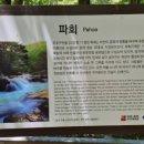 파회주차장 이미지