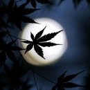 바람과 구름 이미지