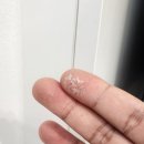 부영7차아파트경로당 | [제주 입주청소] 제주시 삼화 부영아파트 입주청소 현장 후기!