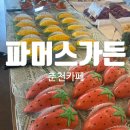 [춘천 가볼만한 곳] 귀여운 채소를 닮은 빵, 선물로도 좋은 &#34;파머스가든&#34; 내돈내산 후기