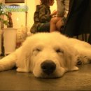 종일농장 이미지