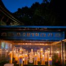 군포열린의원 | 2025 부처님오신날 봉축행사 후기 2탄