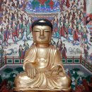 생일 학서암 석조여래좌상 | K채널 / 완도군, 생일 학서암 석조여래좌상 등 향토문화유산 지정