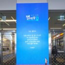 책과영화의 만남 | 잠시 멈춰 서서 나를 돌아보게 하는 존재는?ㅣ2026 책 읽는 대한민국 세계 책의 날 행사 후기