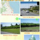 남미목장 | 호주 여행후기-03-20181123-호주-브리즈번-골드코스트-Tropical Fruit World 농장