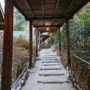 샤라네 | [내돈내산] 유후인 료칸 추천 Sharanoki 샤라노키 | 커플여행 | 개인온천탕