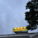 꼬맹이네 반려견 미용실 이미지