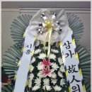 대성식물병원 이미지