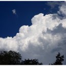 닥터아이펫 동물병원 이미지