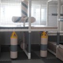 래빗하우스 키즈풀빌라 이미지