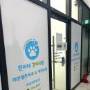 진이네 강아지풀 이미지