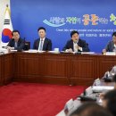 사각돼지 제주도민일보