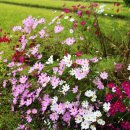 응암농장 이미지