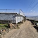 외도지석묘 1호 이미지