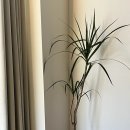 대림여인숙 이미지