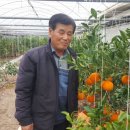 태성농장3 이미지