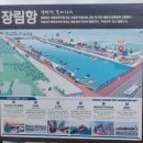 장림항(문화촌) 네이버블로그
