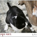 묘르신 이미지