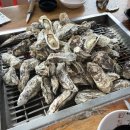 돌산새댁 | 여수맛집 여수굴구이 내돈내산 원조굴구이 솔직후기