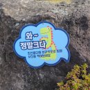 리얼토이랜드 | (제주 여행) 제주 아이들과 가볼만한곳 '제주 공룡랜드' 리얼후기 ^^