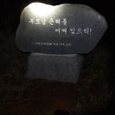 영산김밥 이미지