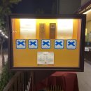 파파상사 | [판교 데이트 코스] 파파라구 | 백현동 카페 거리...메뉴별 100% 솔직 후기 | 라구라자냐, 써니피자...
