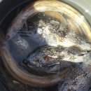 해양펜션 이미지