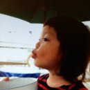 도도블리 이미지