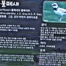 갈대습지공원 이미지