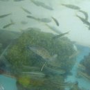 덕유산계곡펜션 이미지