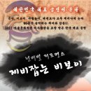 고양제비 이미지