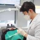 박종석치과의원 네이버블로그