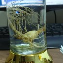 (주)삼주 이미지