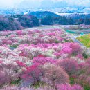 영어패턴익히기(야간) 이미지