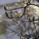 금호동 장미아파트 이미지