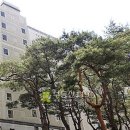 사임당로17길 80 Daum카페