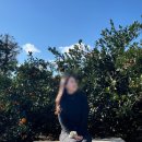 소금빌레 | 제주 서귀포 독채 펜션 또 가고 싶은 스테이 빌레하임 큰동 찐 후기