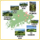 화폐의 발전과 동서양 문명의 교류 | 고대 동아시아의 해상 제국 가야: 철의 연맹체에서 고대 국가로의 진화와 역사적 복원