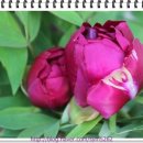 은솔농장 이미지