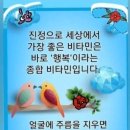 행복이라는 비타민 이미지