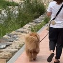 홍키통키 라이프 이미지