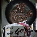 장어사냥 Daum카페