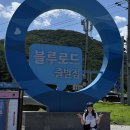 개미똥꾸펜션 | 영덕 블루로드 백패킹 D코스 B코스 쪽빛파도의 길 + 대탄해수욕장 노지캠핑