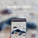 해양마린