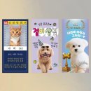 도도 - 고양시 일산동구 장항로 3 | 도도