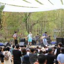 2025 남이섬 어쿠스틱 청춘 페스티벌 축제 안내 | 이용팁 총정리