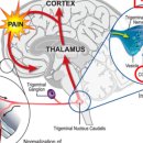 건강한뇌신경과의원 이미지