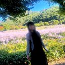 쌍곡반점