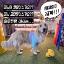 알로하탠